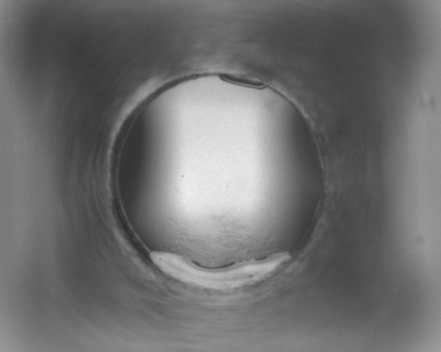 X0000061740008200512161702