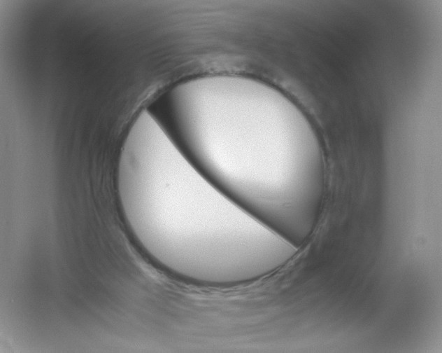 X0000061740009200512161702