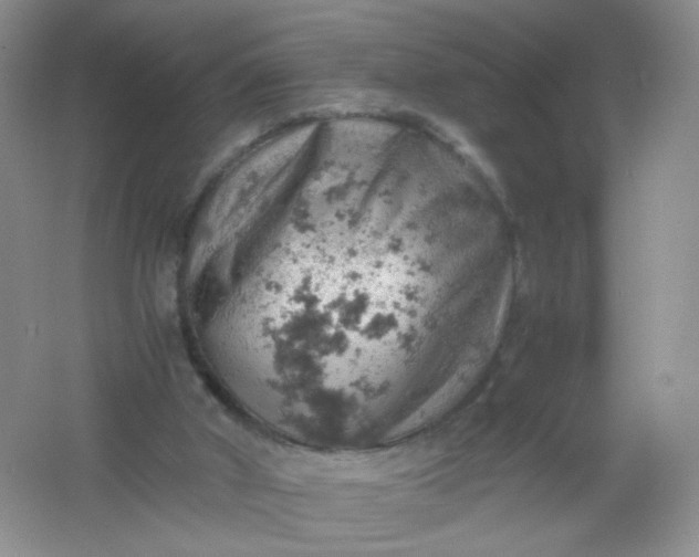 X0000061740010200512161702