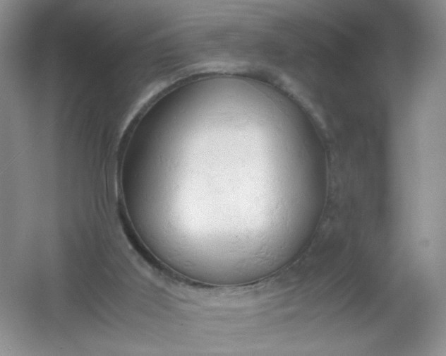 X0000061740011200512161702