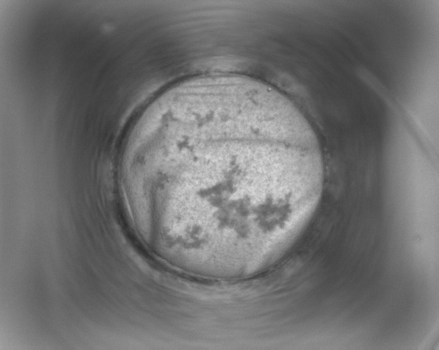 X0000061740012200512161702