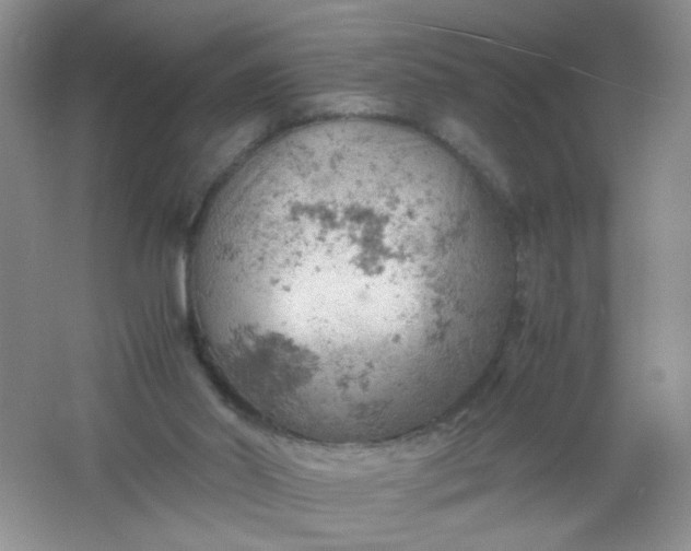 X0000061740014200512161702