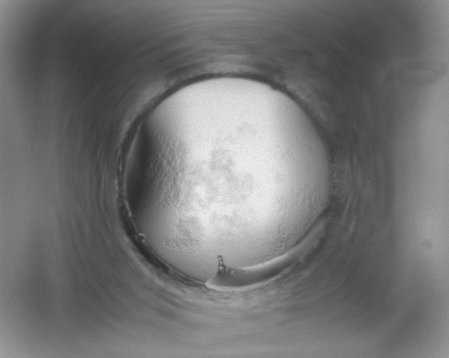 X0000061740015200512161702