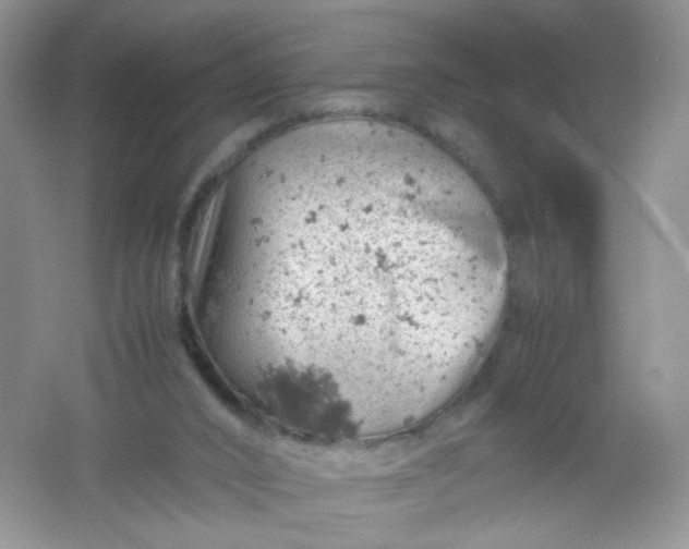 X0000061740016200512161702