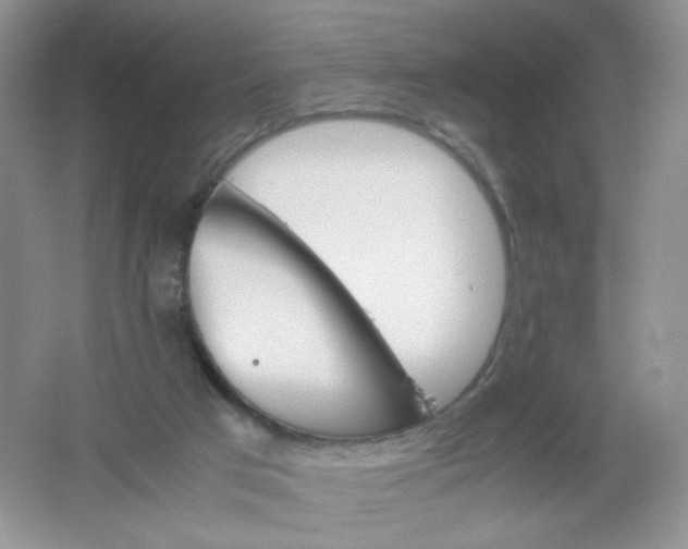 X0000061740017200512161702