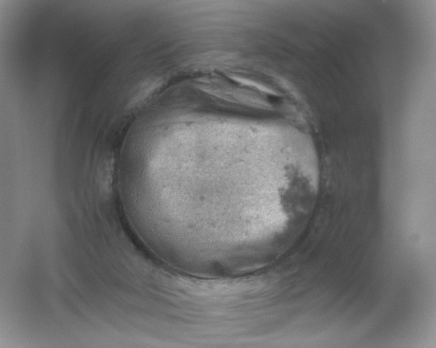 X0000061740018200512161702