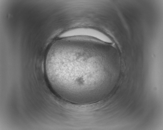 X0000061740019200512161702