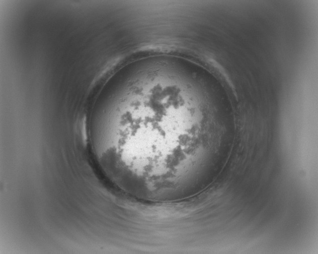 X0000061740020200512161702