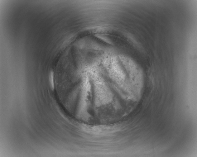 X0000061740022200512161702