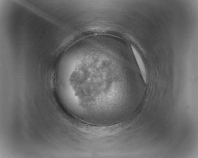 X0000061740023200512161702