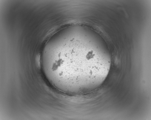 X0000061740024200512161702