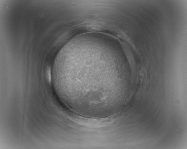 X0000061740027200512161702