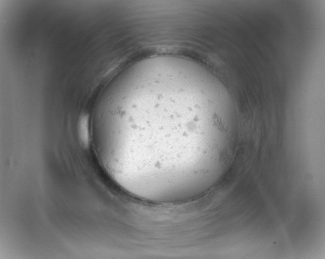 X0000061740028200512161702