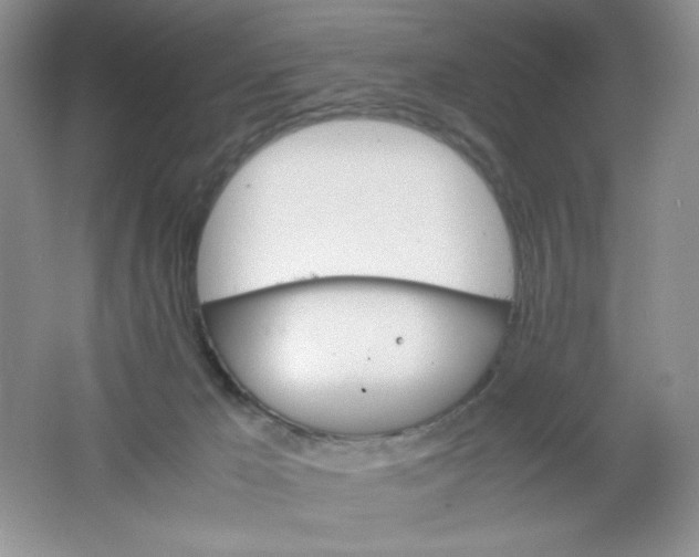 X0000061740029200512161702