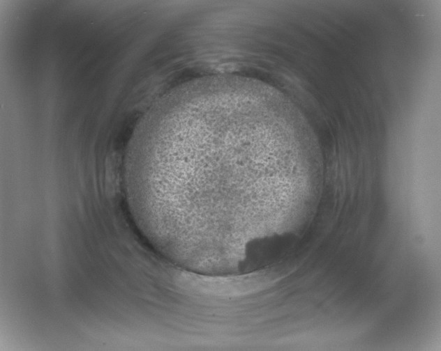 X0000061740030200512161702