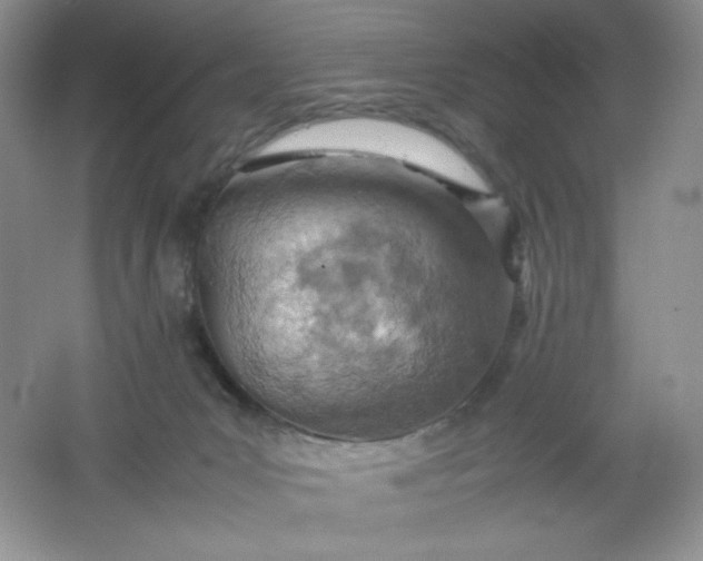 X0000061740031200512161702