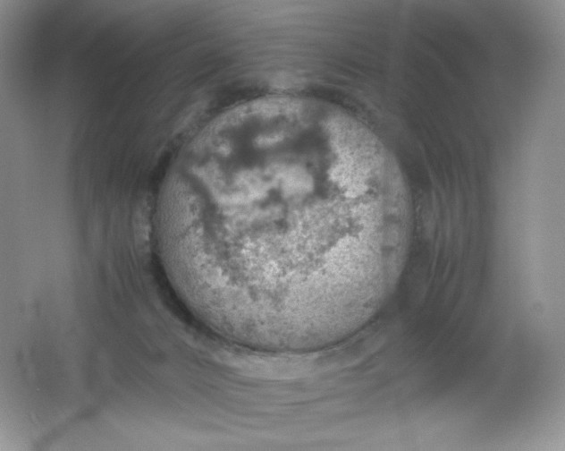 X0000061740032200512161702