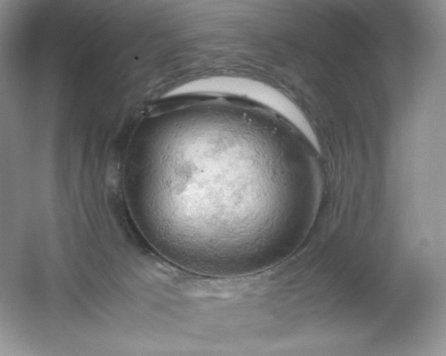 X0000061740033200512161702