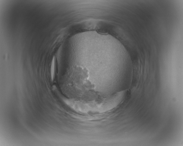 X0000061740035200512161702