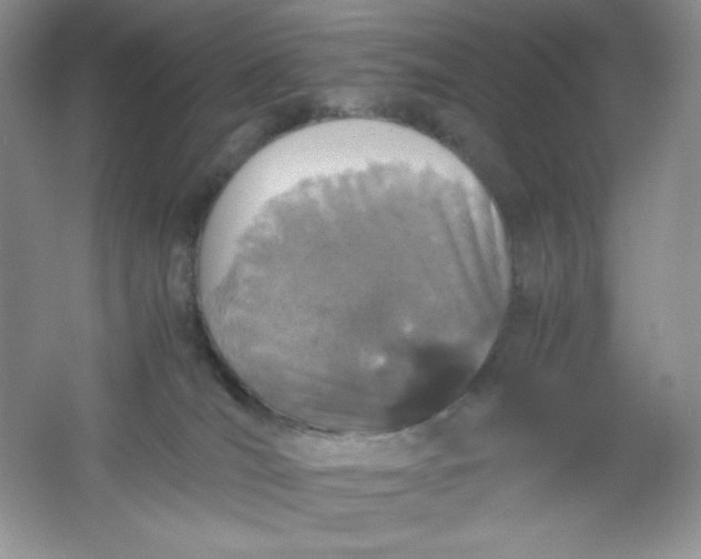 X0000061740036200512161702