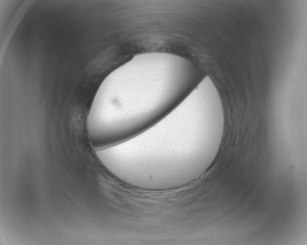 X0000061740037200512161702