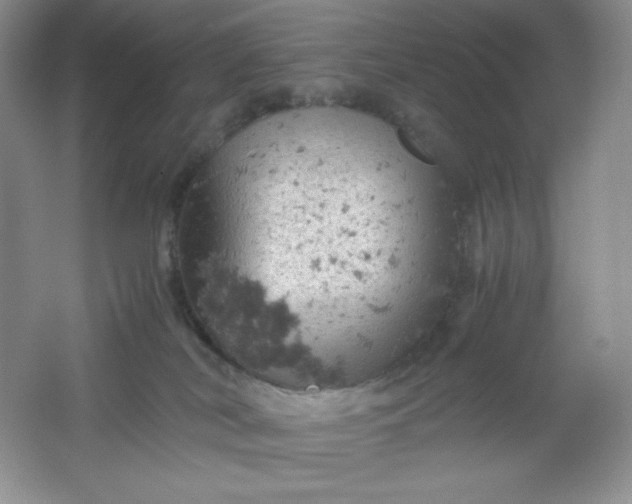 X0000061740038200512161702