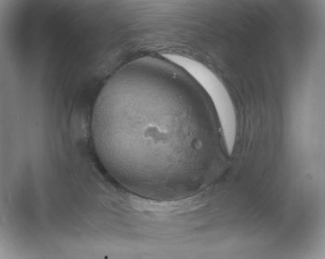 X0000061740039200512161702