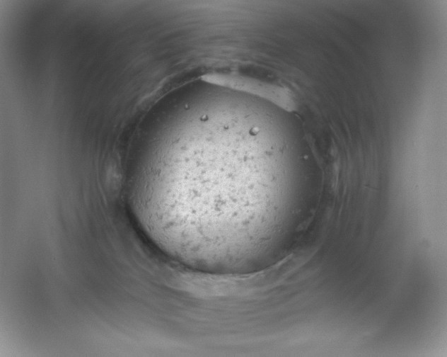 X0000061740040200512161702