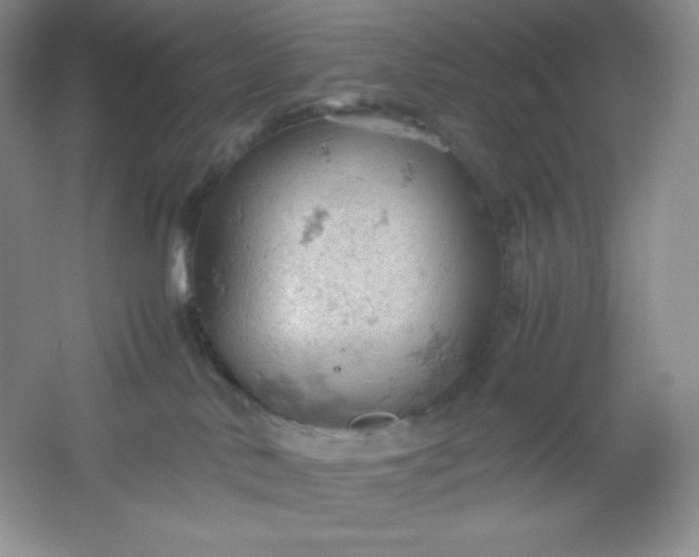 X0000061740042200512161702