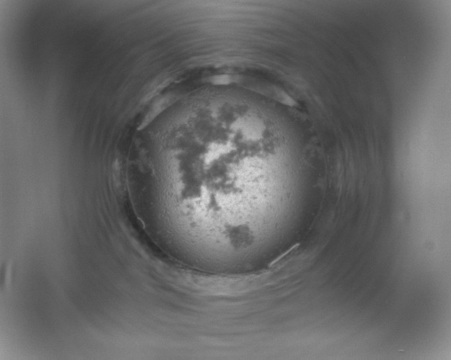 X0000061740044200512161702