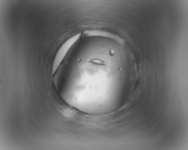 X0000061740045200512161702