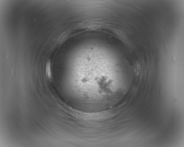 X0000061740046200512161702