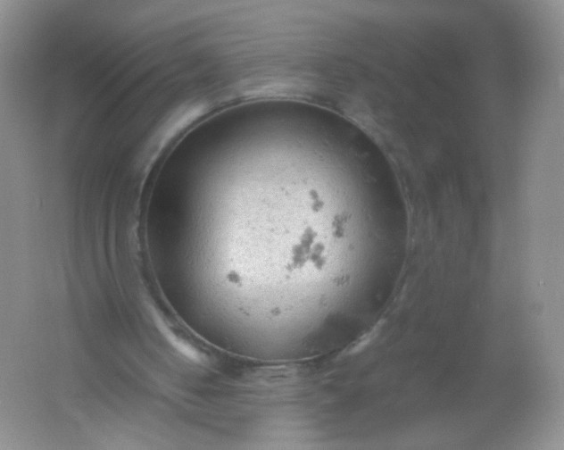 X0000061740050200512161701