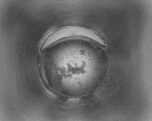 X0000061740051200512161701