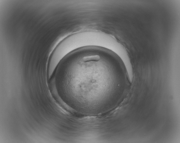 X0000061740052200512161701