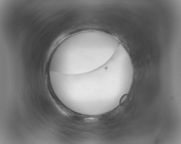 X0000061740053200512161701