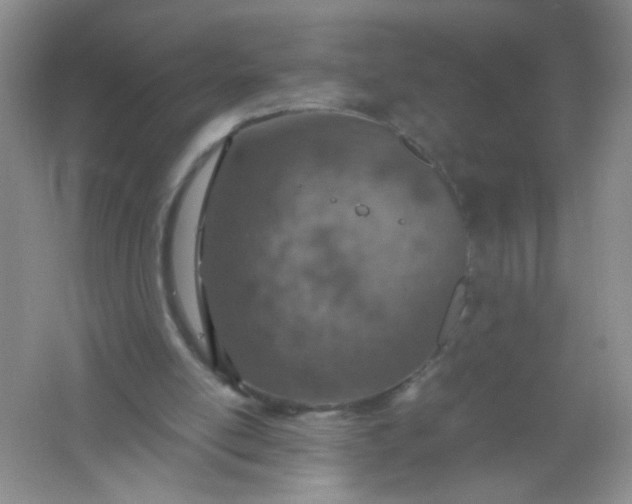 X0000061740054200512161701