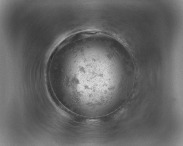 X0000061740055200512161701