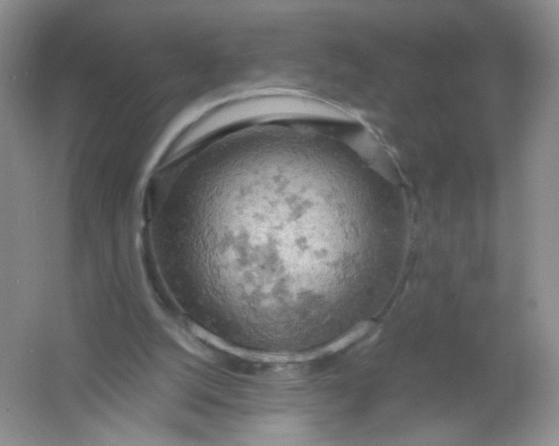 X0000061740056200512161701