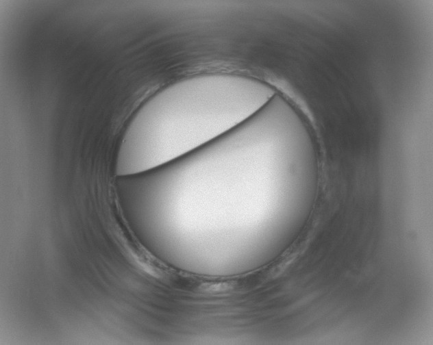 X0000061740057200512161701