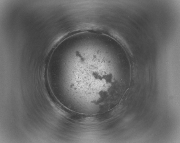 X0000061740058200512161701