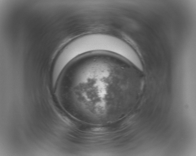 X0000061740059200512161701