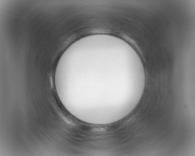 X0000061740061200512161701