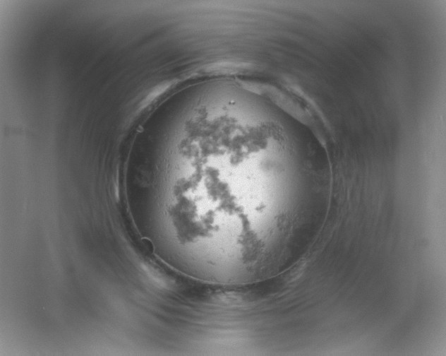 X0000061740062200512161701