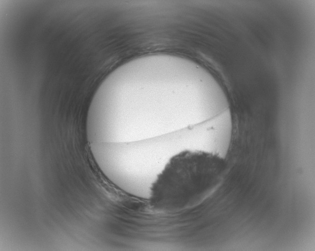 X0000061740065200512161701