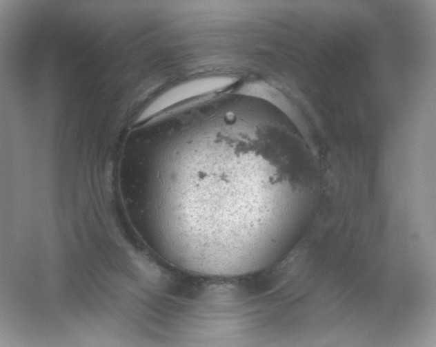 X0000061740066200512161701