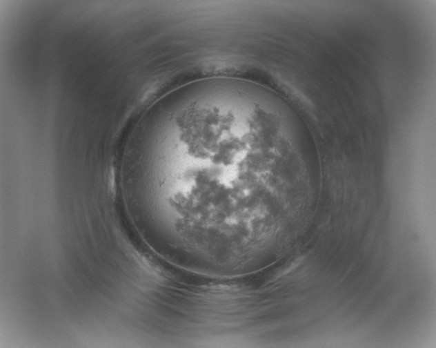 X0000061740067200512161701