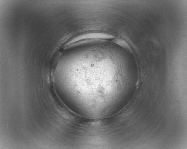 X0000061740068200512161701