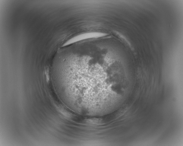 X0000061740069200512161701