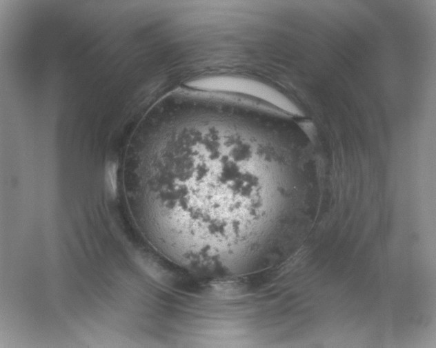 X0000061740070200512161701